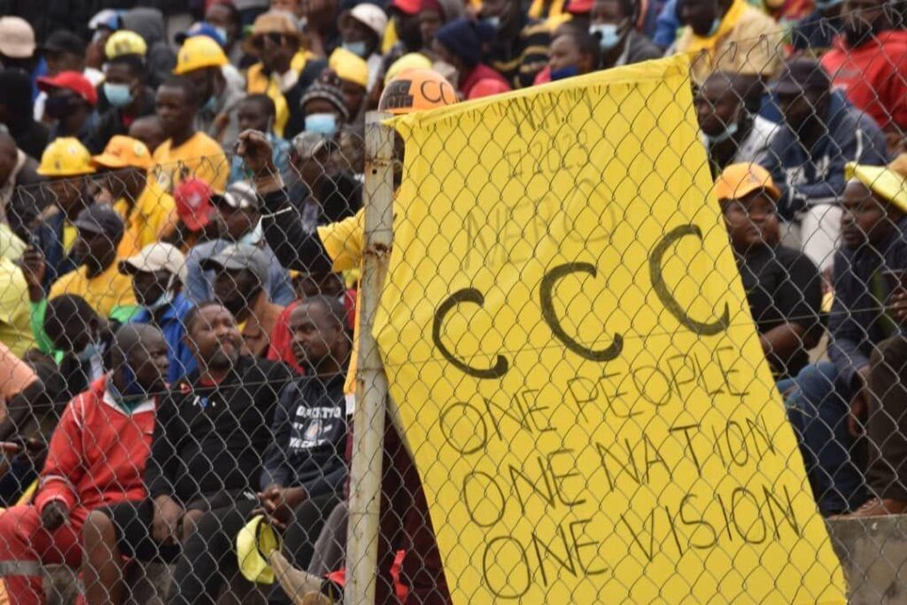 CCC Activists Attacked And Injured In Binga