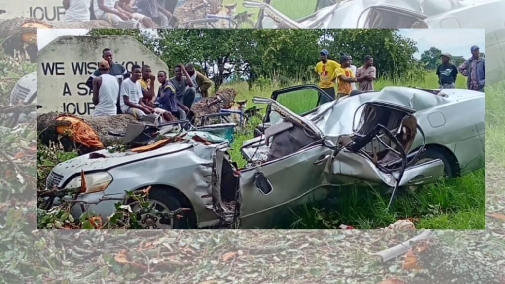 Tree Falls On A Car Killing School Head Who Was In The Vehicle