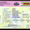 New Driver's Licence System Brings Age Limit, Vehicle Classification, and Other Changes