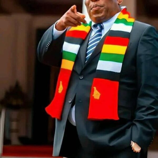 Emmerson Mnangagwa Declared Winner Of Zimbabwe's 2023 Presidential Election