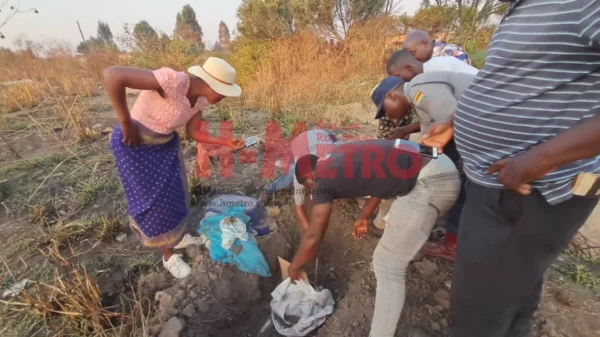 Six babies stolen from graves in Domboshava