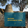 "Mutapa Investment Fund The Greatest National Heist Since Cecil John Rhodes"