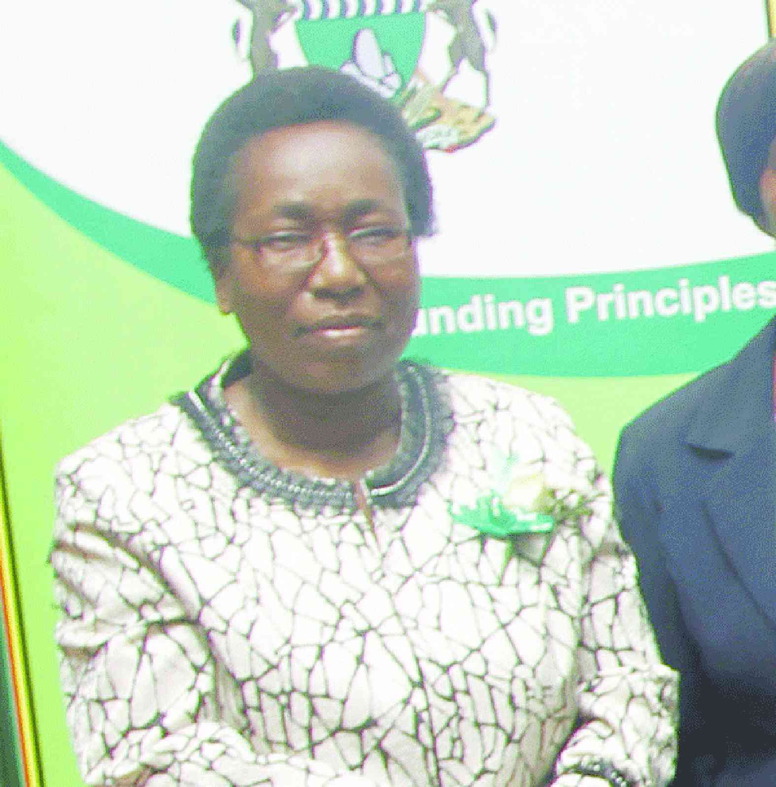 Top Judge 'Erica Ndewere' Drags Mnangagwa to Court