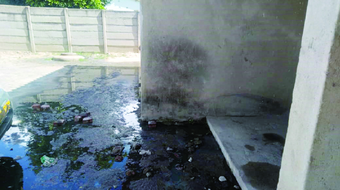 Chitungwiza Family Spends 2 Months Living In Raw Sewage!