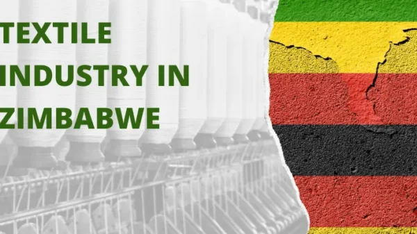 Smuggling Crisis Threatens Zimbabwe's Textile Sector and Job Creation Prospects