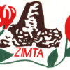 ZIMTA Urges Government Action on Teachers' Salaries