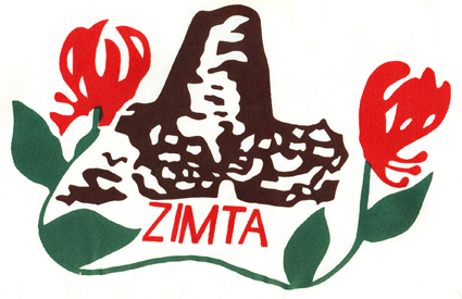 ZIMTA Urges Government Action on Teachers' Salaries