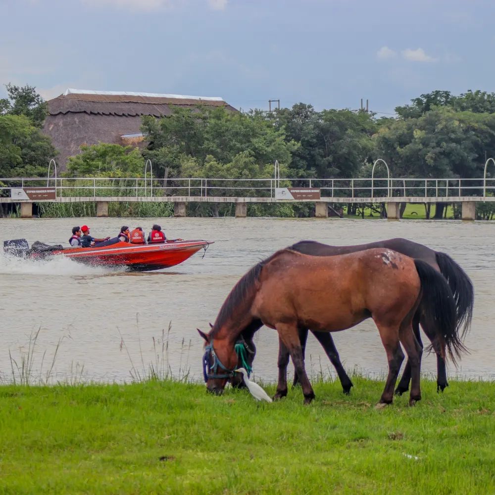 Experience Paradise at Stephen Margolis Resort, A Haven Just Outside Harare's Bustling Core