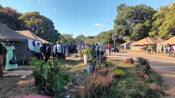 Low voter numbers cast shadow over Harare East and Mount Pleasant by-elections