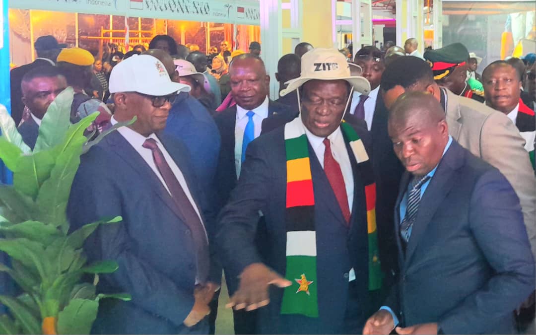 President Mnangagwa Lauds Geo Pomona Waste Management