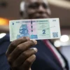 Zimbabwe's New Currency Surges Past Rand in Trading Strength, Will It Last?