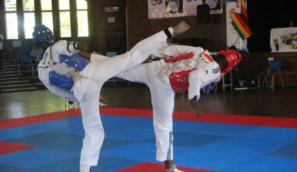 Korean Ambassador's Cup