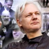 Julian Assange Freed in 'Wikileaks' US Plea Deal