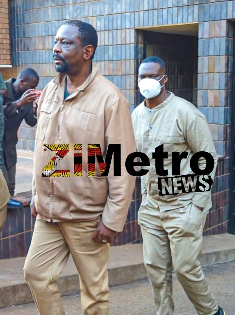 "Fraudsters Mike Chimombe and Moses Mpofu Tried Their Best to Squash the Investigation"