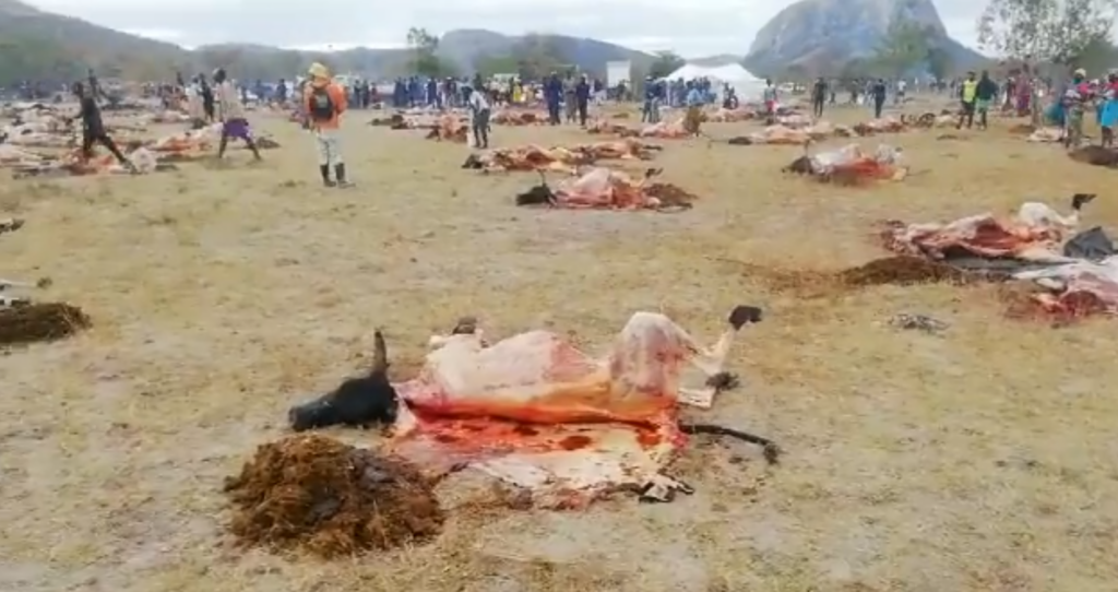 Police Investigate Mass Cattle Slaughter In Mutoko