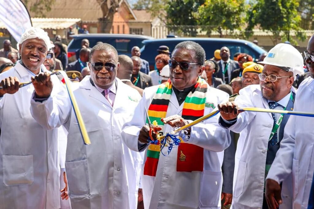 Zimbabwe to Ditch USD for ZiG, Says President Mnangagwa
