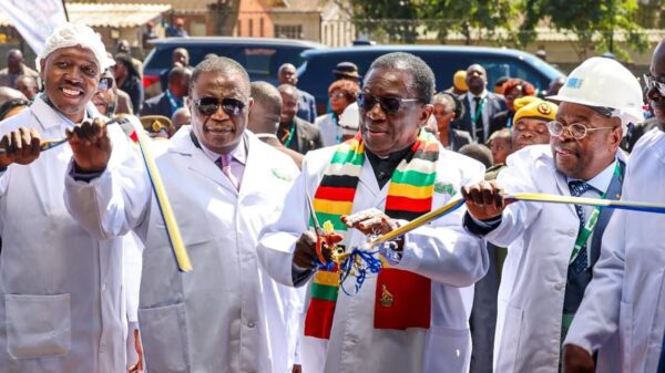 Zimbabwe to Ditch USD for ZiG, Says President Mnangagwa