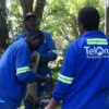 Telone Invests $8,5 Million On LTE Base Stations Upgrades