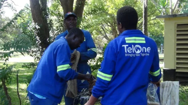 Telone Invests $8,5 Million On LTE Base Stations Upgrades