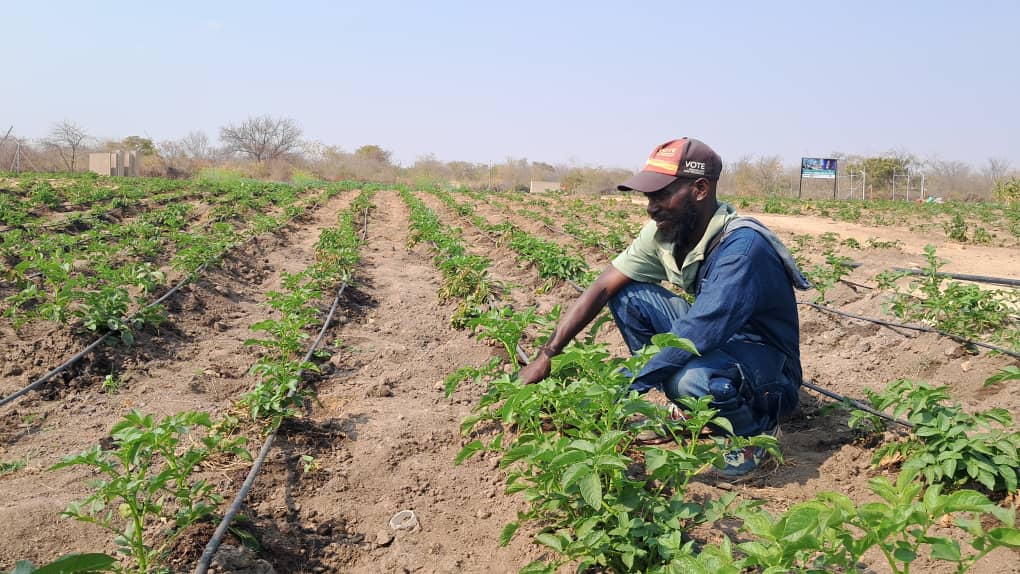 Presidential Boreholes Ignite Green Revolution in El Niño-Affected Rural Areas