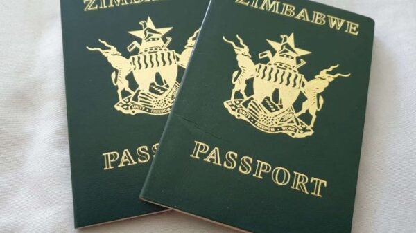 No Visa, No Problem: Countries That Welcome Zimbabweans Without a Visa