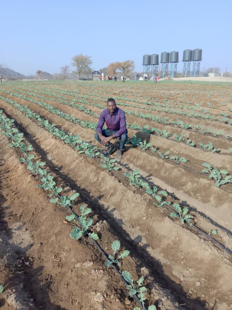 Presidential Borehole Scheme Brings Lifeline to Drought-Hit Gwanda Villagers