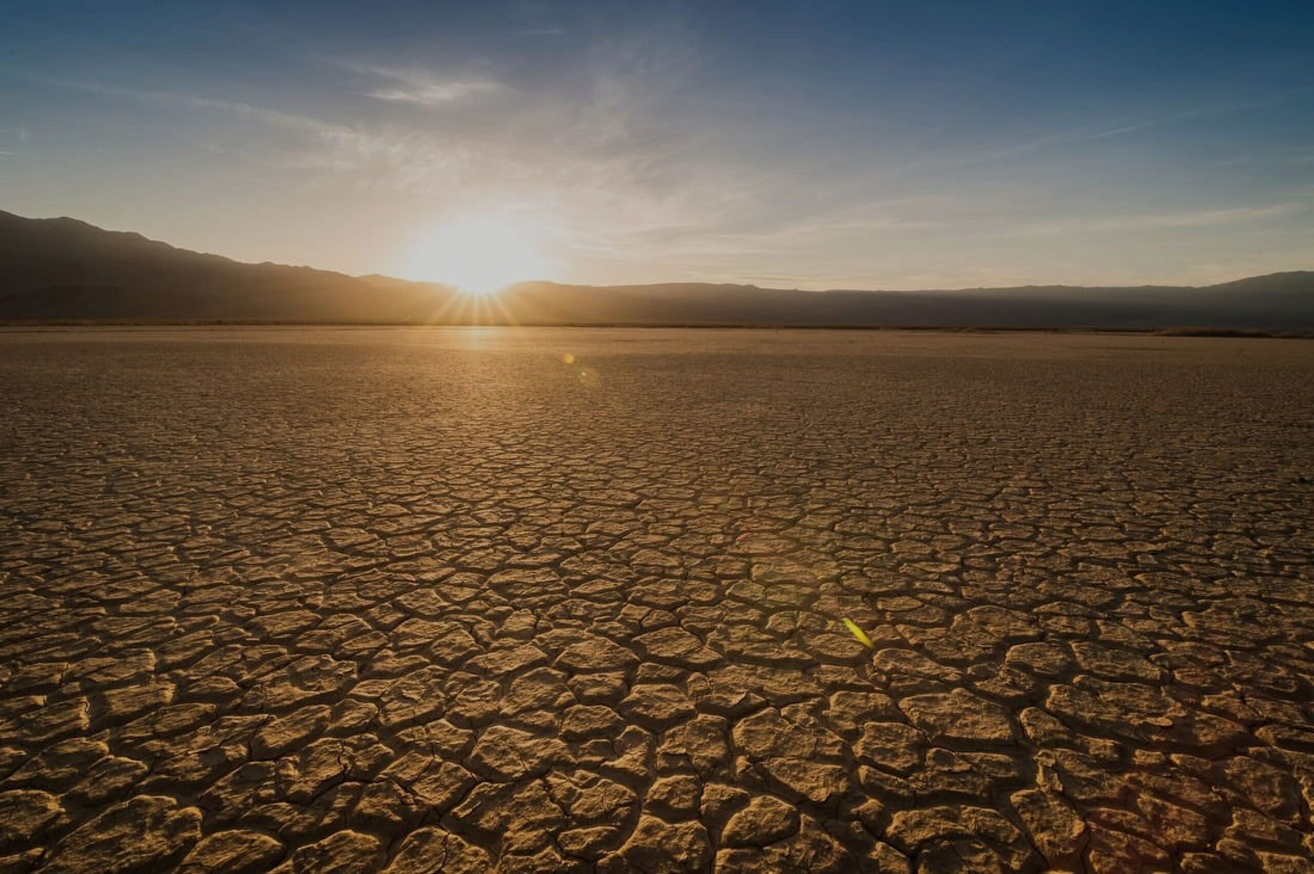 Zimbabwe Launches New Carbon Market Framework to Tackle Climate Change