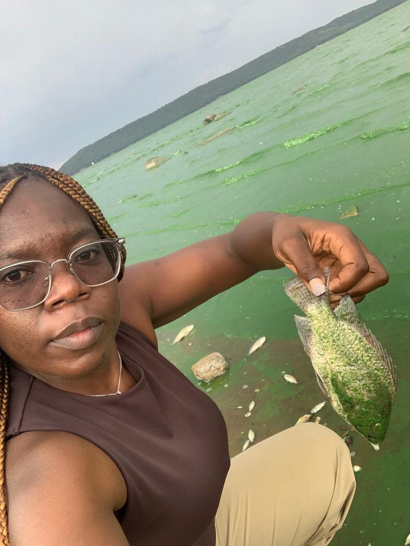 Cyanobacteria Pollution Devastates Wildlife At Lake Chivero Game Reserve