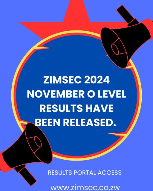ZIMSEC 2024 Ordinary Level Results Released: National Pass Rate Rises to 33.19%
