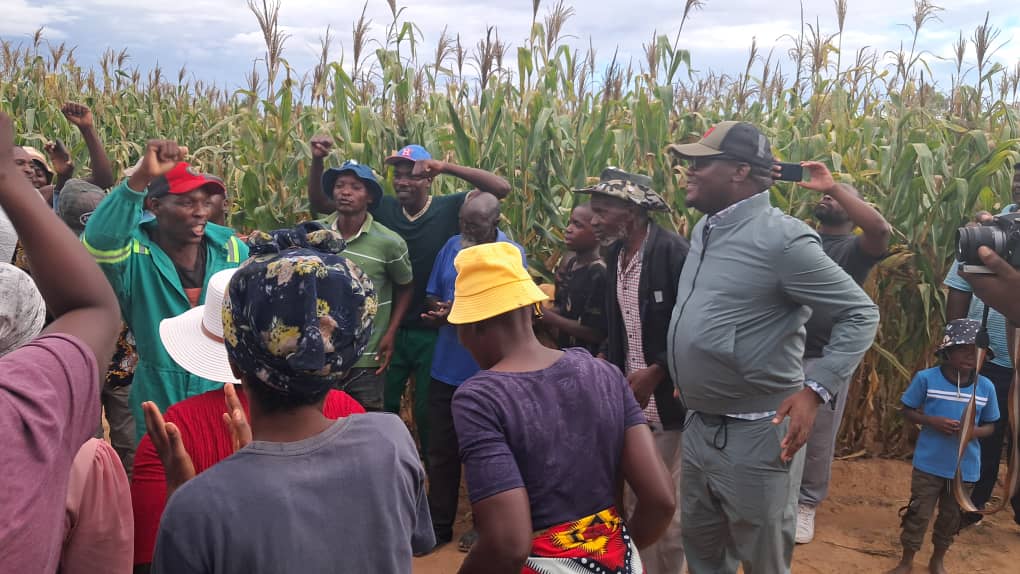 Presidential Borehole Scheme Sparks Agricultural Transformation in Buhera