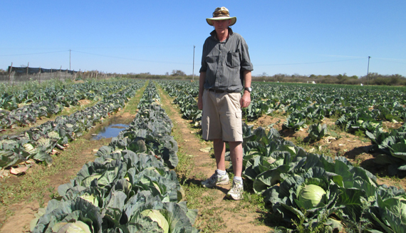 Zimbabwe Allocates US$20 Million for Land Compensation in 2024 Budget