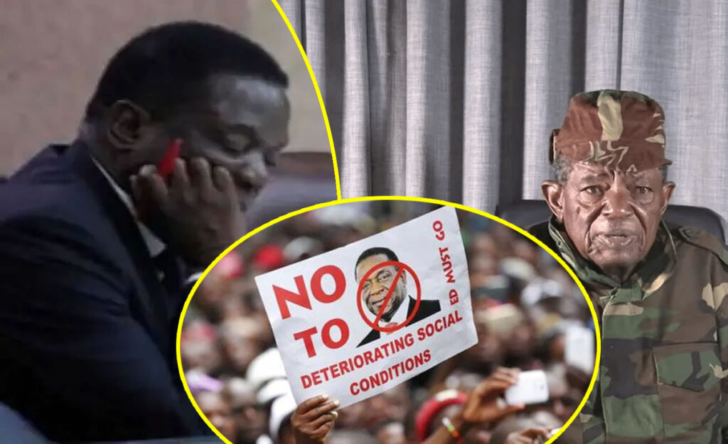 Mnangagwa critic Geza calls for indefinite stayaway 'until Mnangagwa resigns'