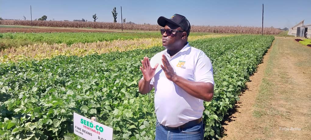 SeedCo Vegetables Champions Disease-Resistant Crops Amid Challenging Weather Conditions