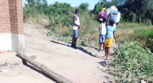 Police Anti-Smuggling Blitz Yielding Results in Manicaland